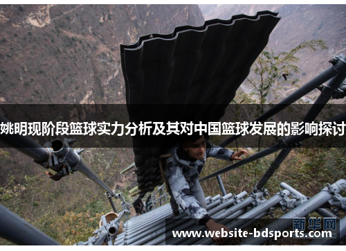 姚明现阶段篮球实力分析及其对中国篮球发展的影响探讨